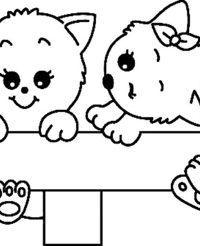 Gato 14 - 10doigts.fr