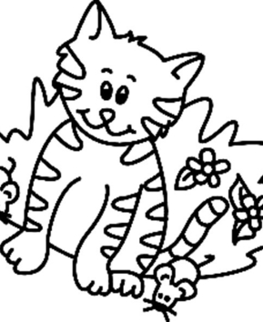 Gato 16 - 10doigts.fr