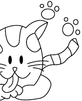 Gato 17 - 10doigts.fr
