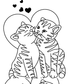 Gato 23 - 10doigts.fr