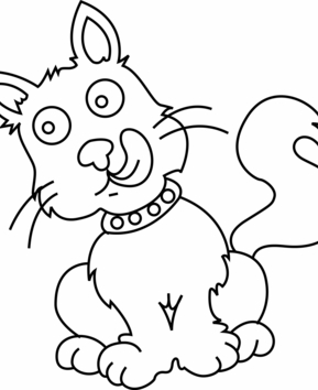 Gato 28 - 10doigts.fr