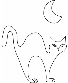 Gato 31 - 10doigts.fr