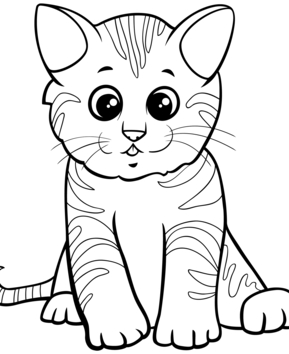 Gato 36 - 10doigts.fr