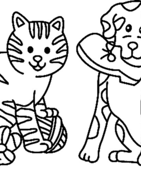 Gato y perro 02 - 10doigts.fr