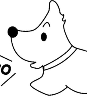Perro 03 - 10doigts.fr