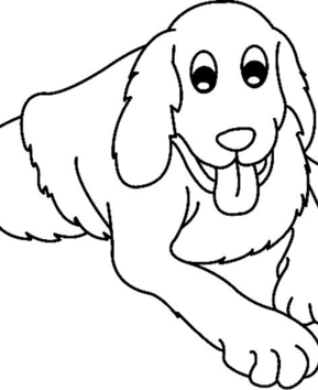 Perro 04 - 10doigts.fr
