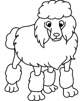 Perro 05 - 10doigts.fr