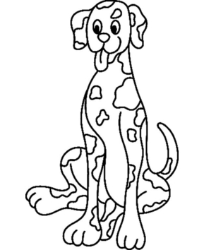 Perro 08 - 10doigts.fr