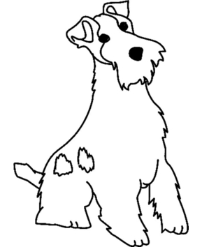 Perro 11 - 10doigts.fr