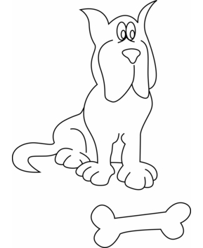 Perro 17 - 10doigts.fr