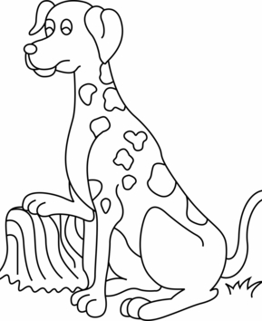 Perro 19 - 10doigts.fr