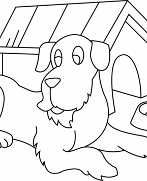 Perro 20 - 10doigts.fr