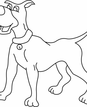 Perro 23 - 10doigts.fr