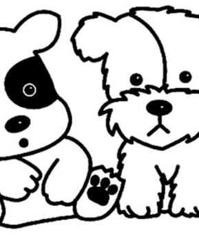 Perro 24 - 10doigts.fr