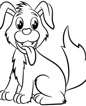 Perro 36 - 10doigts.fr
