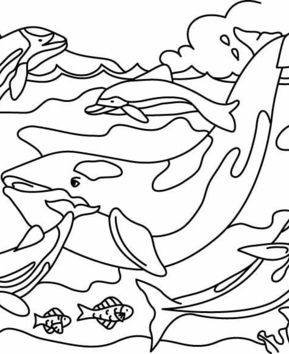 Whale 03 - 10doigts.fr