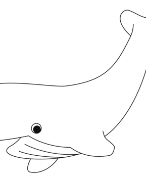Whale 08 - 10doigts.fr