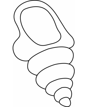 Seashell 03 - 10doigts.fr
