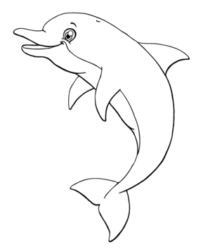 Dolphin 09 - 10doigts.fr