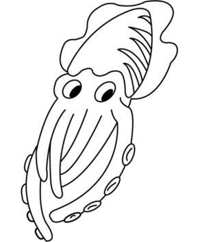 Pulpo 03 - 10doigts.fr