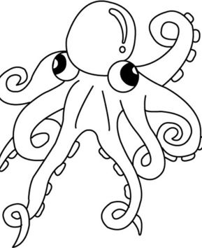 Pulpo 05 - 10doigts.fr