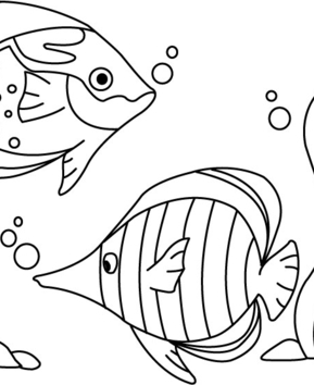 Fish 03 - 10doigts.fr