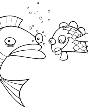 Fish 33 - 10doigts.fr