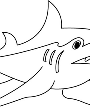Shark 01 - 10doigts.fr