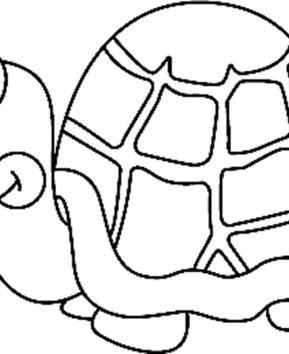 Tortuga 03 - 10doigts.fr