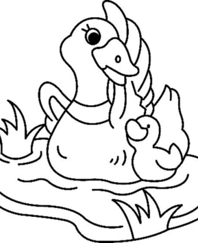Duck 04 - 10doigts.fr