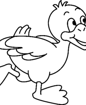 Duck 13 - 10doigts.fr