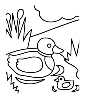 Duck 23 - 10doigts.fr
