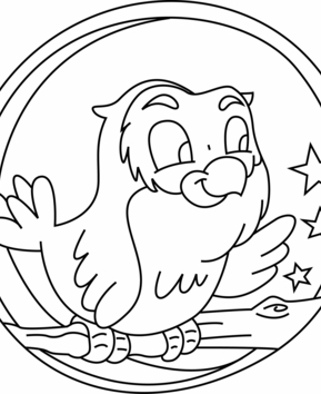 Owl 01 - 10doigts.fr