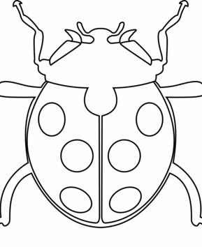 Ladybug 06 - 10doigts.fr