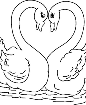Swan 01 - 10doigts.fr