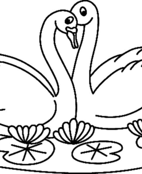 Swan 02 - 10doigts.fr