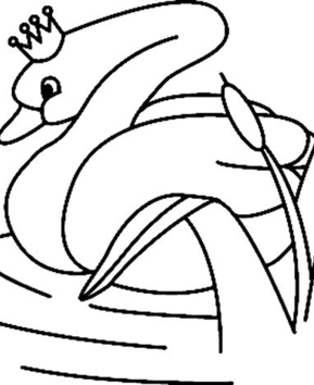 Swan 03 - 10doigts.fr