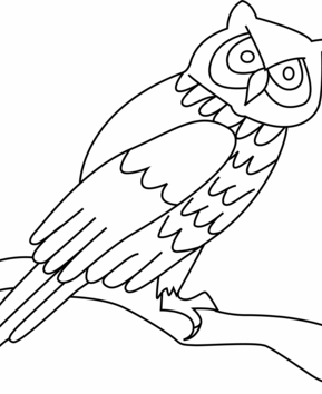 Owl 03 - 10doigts.fr