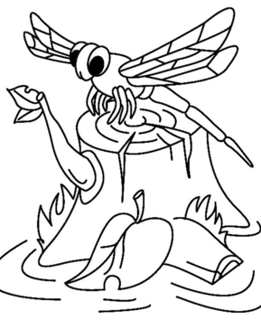 Dragonfly 03 - 10doigts.fr