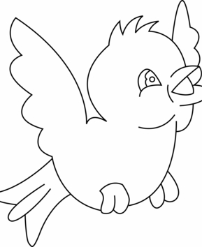 Bird 06 - 10doigts.fr