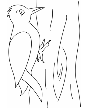 Bird 12 - 10doigts.fr