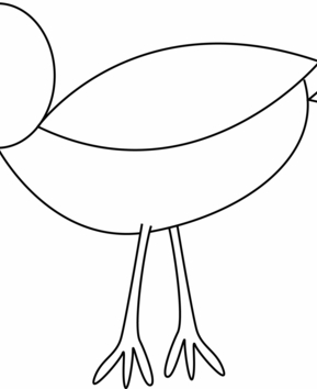 Bird 21 - 10doigts.fr