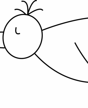 Bird 26 - 10doigts.fr