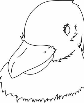 Bird 34 - 10doigts.fr