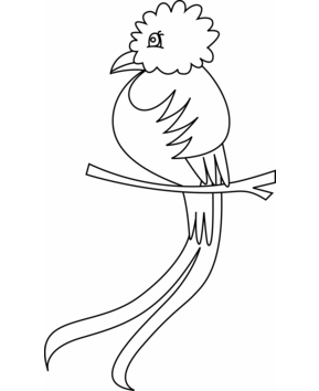 Bird 36 - 10doigts.fr