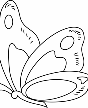 Butterfly 13 - 10doigts.fr