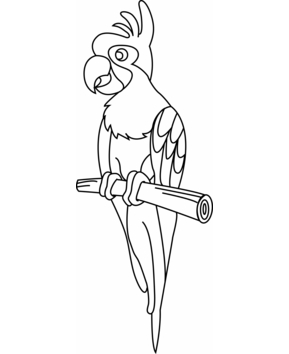 Parrot 01 - 10doigts.fr