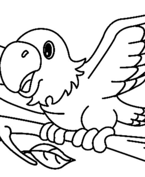 Parrot 02 - 10doigts.fr