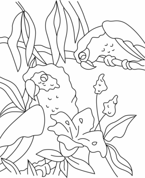 Parrot 03 - 10doigts.fr