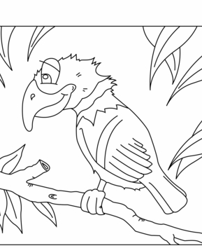 Parrot 04 - 10doigts.fr
